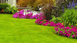 Giardinaggio e cura del verde